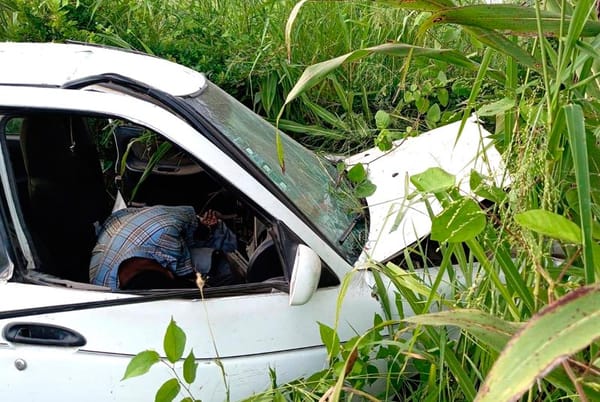 ¡CAMPESINO CHOCÓ CONTRA ÁRBOL Y MURIÓ PRENSADO!