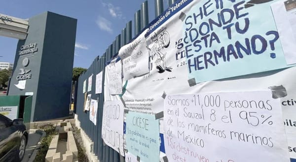 ¡ACTIVISTAS EXIGEN A JULIO SHEINBAUM, DEFENDER A ENSENADA DE MEGAPUERTO!