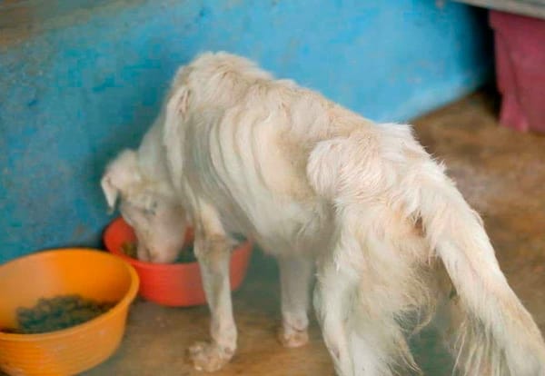 ¡TERROR EN “LA ROCA”!