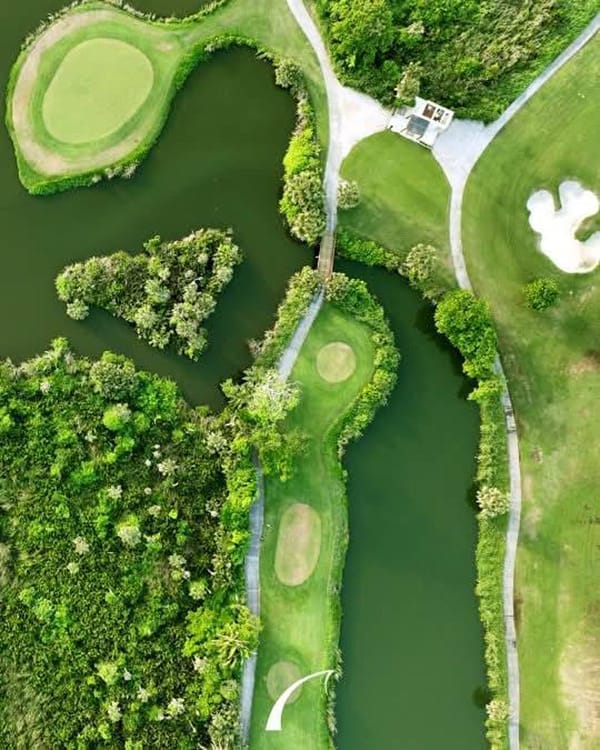 ¡CANGREJO AZUL! - CON TODO...