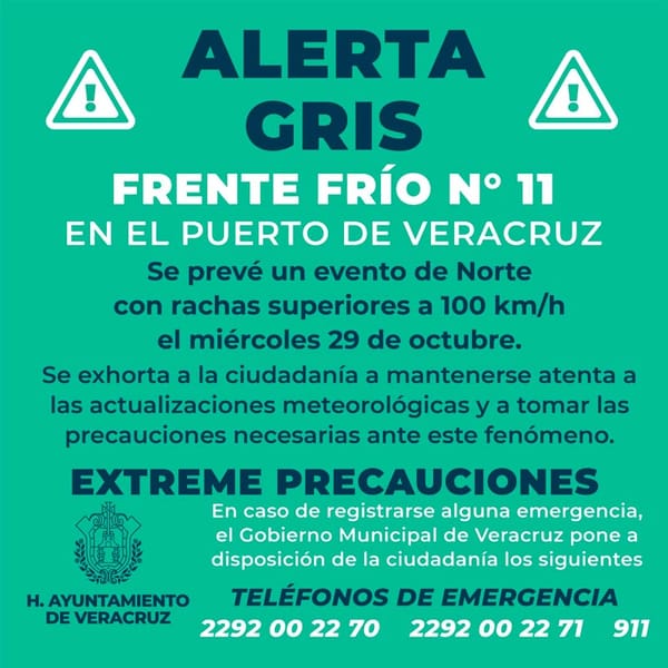 ¡ALERTA GRIS POR NORTAZO!