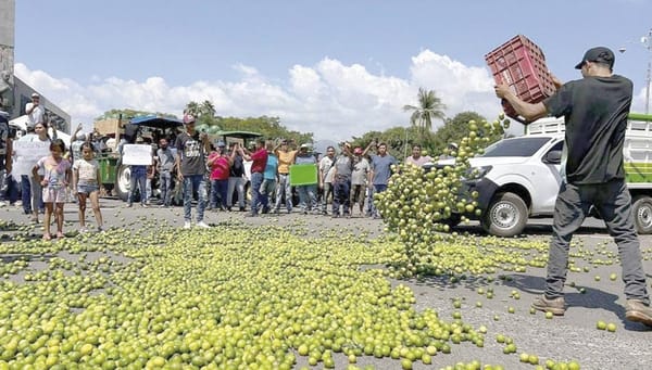 ¡DESDE 2021 SEDENA SABE QUIÉNES EXTORSIONAN A LOS LIMONEROS!