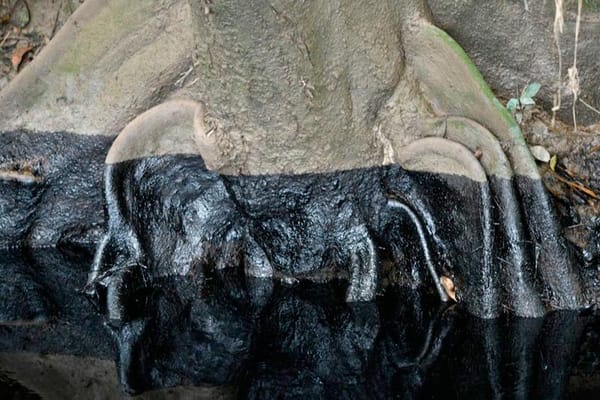 ¡DAMNIFICADOS TRAS DERRAMES! - *Primero el agua, ahora el petróleo