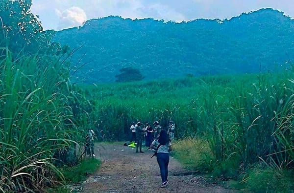 ¡JORNALEROS HALLAN A HOMBRE SIN VIDA, GOLPEADO, ESPOSADO!
