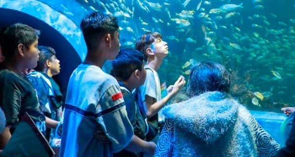 ¡ÚLTIMATUM! - *A empresa que remodeló el Aquarium... o lo arreglan o o arreglan.