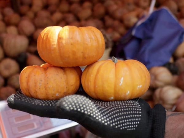 ¡OFRENDAS HASTA DE 2 MIL!