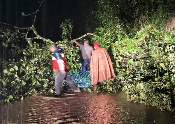 ¡MAESTRAS ATRAPADAS LANZAN SOS! - *Con bebé de dos meses