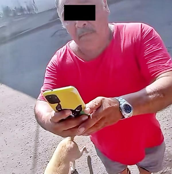 ¡REPORTAN A VECINO POR DEJAR SUELTOS A SUS PERROS!