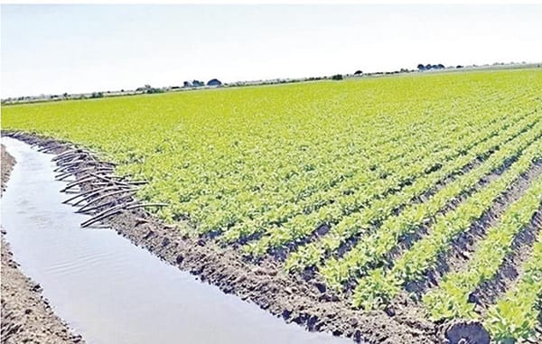 ¡AJUSTAN LEY DE AGUAS!