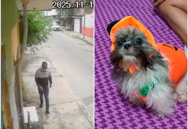 ¡SE LLEVARON A “RONY”!