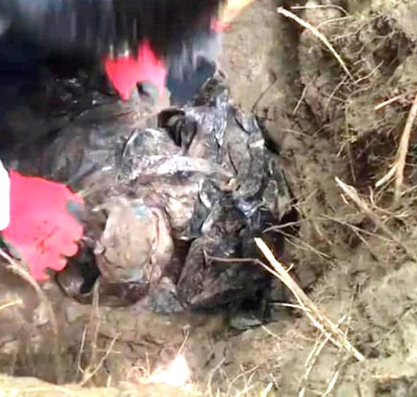 ¡DESCUBREN FOSA CON TRES CADÁVERES EN TUXPAN!