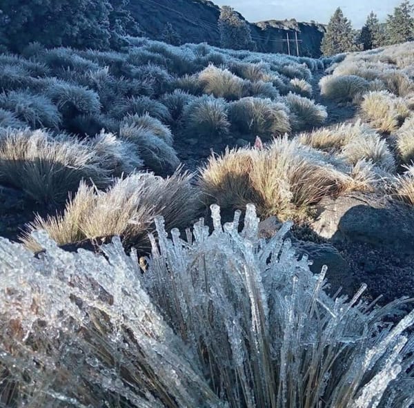 ¡HASTA CAYÓ NIEVE! - SIGUE EL FRÍO