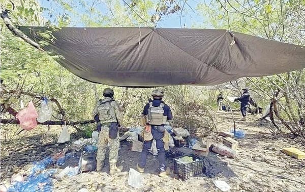 ¡DESMANTELAN 4 NARCOCAMPAMENTOS EN ZONA LIMONERA DE MICHOACÁN!