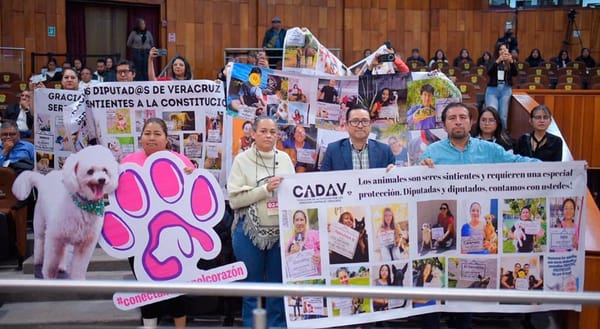 ¡SON SERES SINTIENTES!