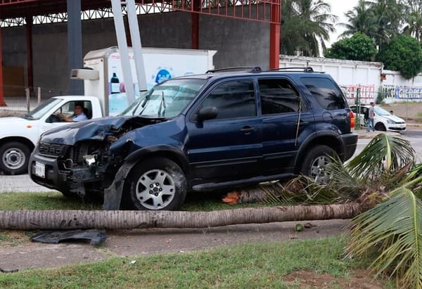 ¡SE IMPACTÓ CONTRA PALMERA Y LUMINARIA!