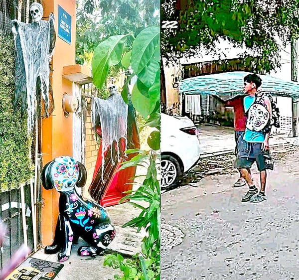 ¡ROBAN ADORNOS DE HALLOWEEN EN LAGUNA REAL!