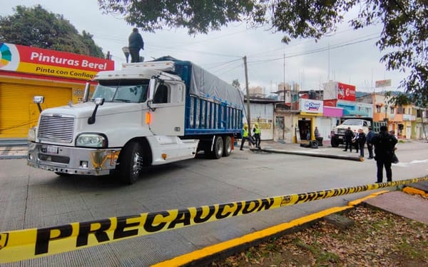 ¡TORTON DERRIBA UN POSTE DE TELMEX EN ORIZABA!
