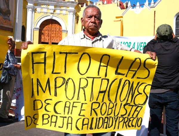 ¡DENUNCIAN “EXTERMINIO” DEL CAFÉ DE CALIDAD!