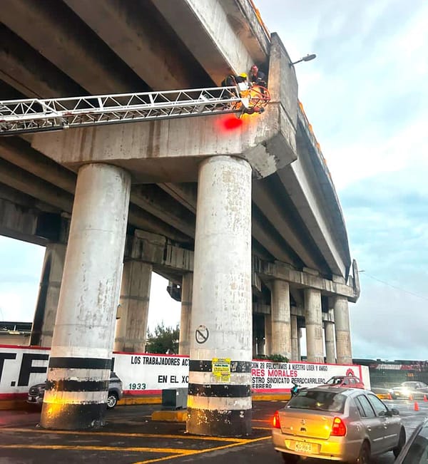 ¡RESCATAN GATITA ATRAPADA EN EL PUENTE DE ALLENDE!