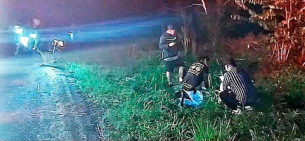 ¡PAREJA DE NOVIOS CHOCAN CON BECERRO Y DERRAPAN 50 METROS!