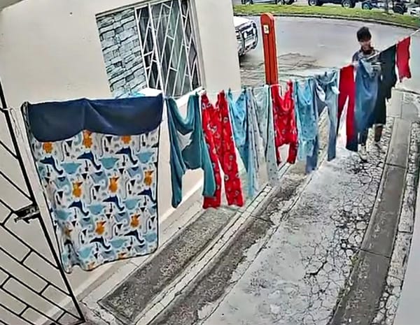 ¡“RATOTA” SE ROBA LA ROPA DEL TENDEDERO!
