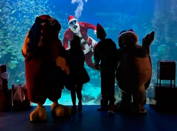 ¡SANTA CLOS NADA! - Y NADA