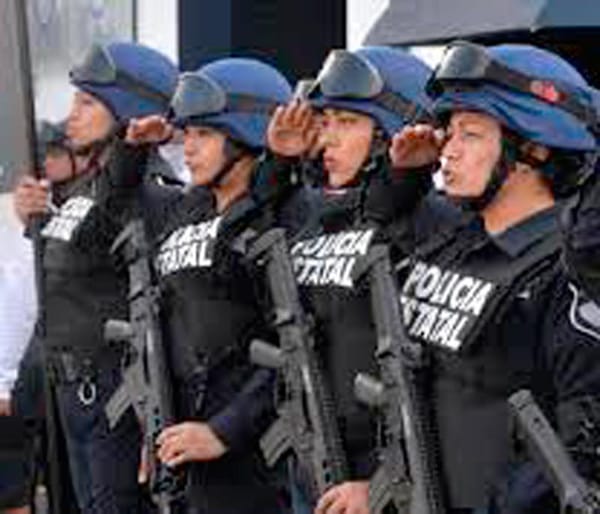 ¡OPERATIVO LUPE-REYES!