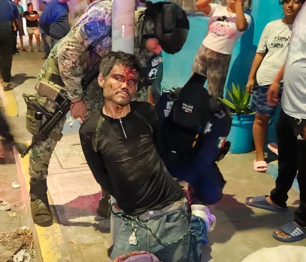 ¡PERRO PITBULL CAZÓ A LADRÓN DE CASAS!