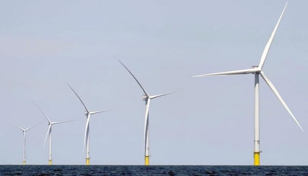 ¡GOBIERNO DE TRUMP SUSPENDE CINCO PROYECTOS EÓLICOS MARINOS!
