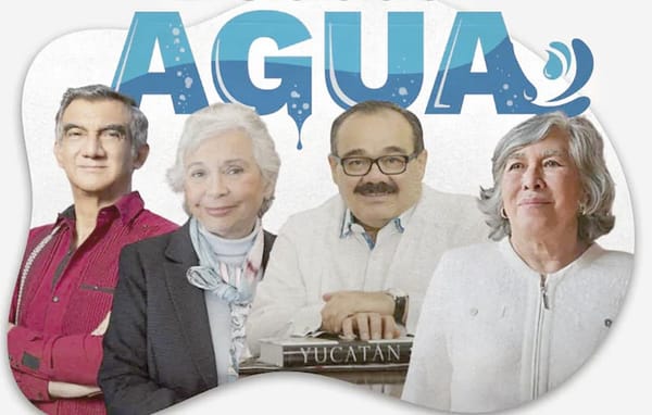 ¡POLÍTICOS ACUMULAN CONCESIONES DE AGUA QUE EQUIVALEN A MÁS DE 2 MIL ALBERCAS OLÍMPICAS AL AÑO!
