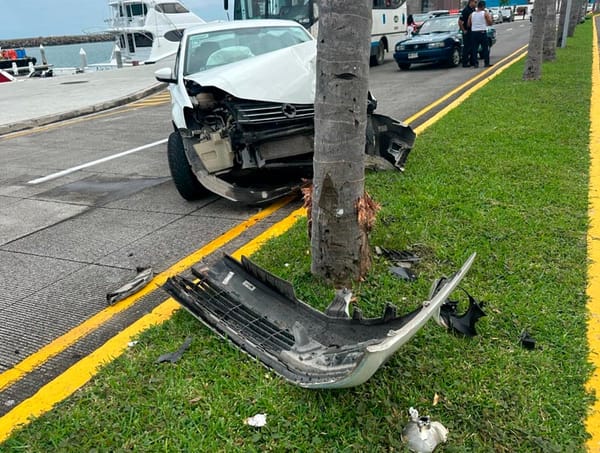 ¡PALMERAZO EN EL BULEVAR!