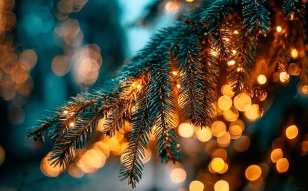 ¡LLAMAN A EVITAR COMPRAS IMPULSIVAS EN DICIEMBRE!