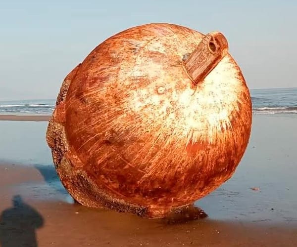 ¡APARECE BOYA DORADA!