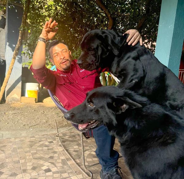 ¡MUERDEN A CAZARÍN!