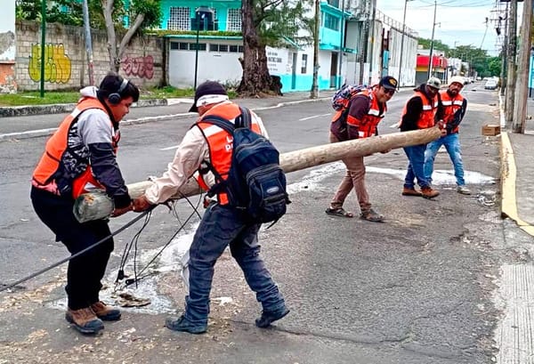 ¡FUE SALDO BLANCO! - *Aunque atendieron 80 servicios por el nortazo en PC de Veracruz puerto