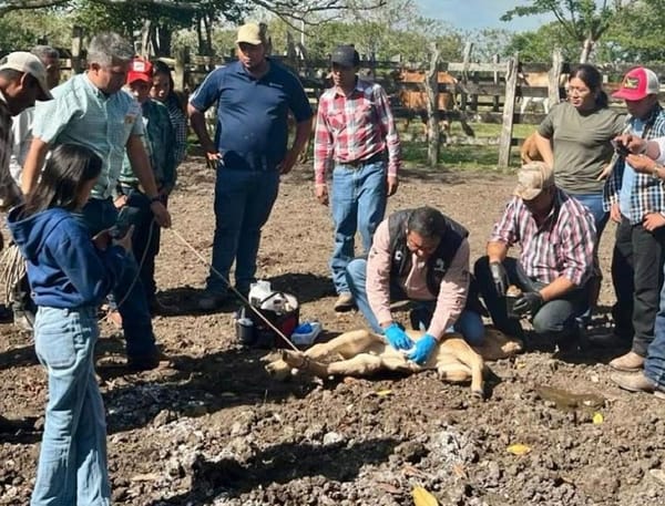 ¡IMPAAAARABLE! - AY NANITAS