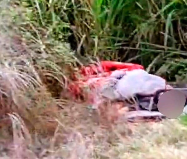 ¡ENCUENTRAN CUERPO ENCOBIJADO DE PELUQUERO SECUESTRADO!