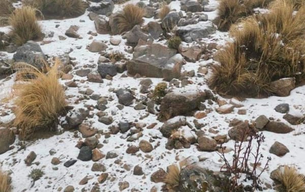 ¡VIENE NORTAZO! - AGUAS