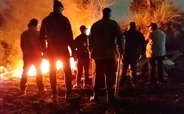 ¡APARECEN HASTA AUTO-DEFENSAS! - YA ESTÁN HARTOS