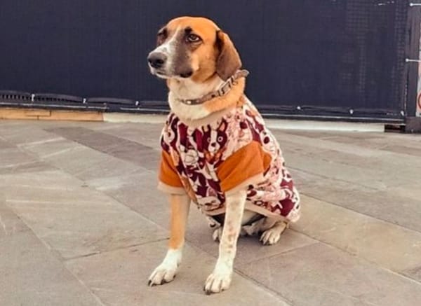 ¡MARÍA TERESA Y DANILO!