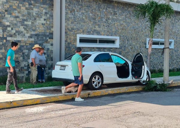 ¡AUTO SE PEGA “PALMERAZO”!