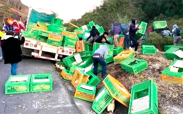 ¡VOLCÓ CAMIÓN CON POLLOS!