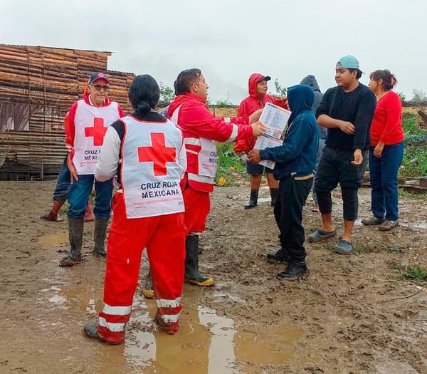 ¡SE METEN HASTA EL LODO!