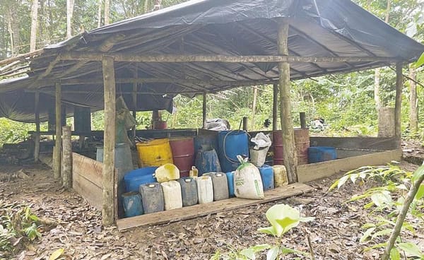 ¡BOMBARDEAN NARCO-LABORATORIOS: HAY 30 MUERTOS EN COLOMBIA!