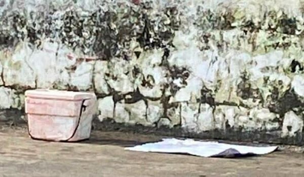 ¡MÁS NEVERAS CON RESTOS HUMANOS EN ANGEL R. CABADA Y LERDO DE TEJADA!