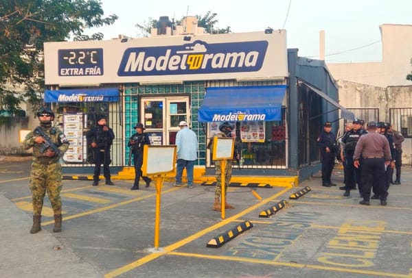 ¡MALANDROS GOLPEAN Y DESPOJAN DE SU ARMA A UNA OFICIAL DEL IPAX