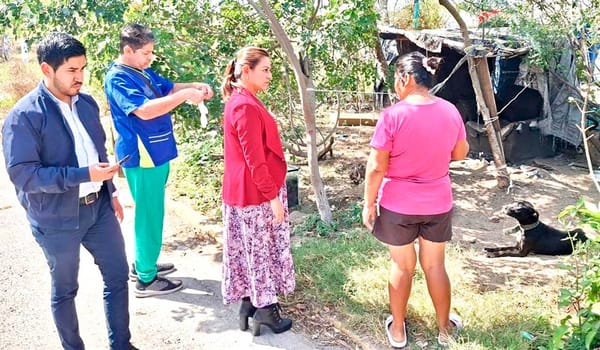 ¡MUNICIPIO RESCATA A LOS PERRITOS ‘LUNA’ Y ‘ROCKY’!