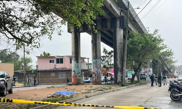¡PEATÓN MURIÓ AL CAER DIEZ METROS DE PUENTE VEHICULAR!