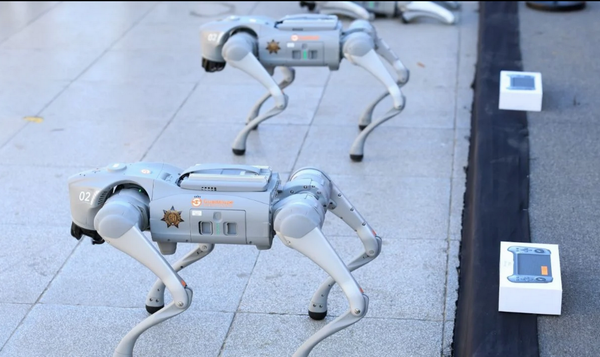 ¡PERROS ROBOTS EN EL MUNDIAL!