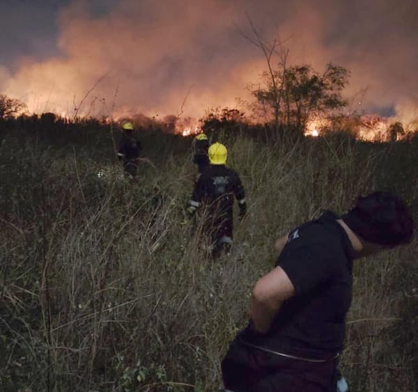¡BOMBEROS COMBATEN QUEMA DE PASTIZAL EN LAS BAJADAS Y ALBATROS!